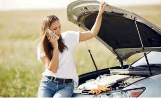 Miniature Video What You Will Get