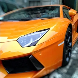 How Auto Insurance Works